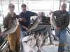 (03/23/2018) - Nice Striped Bass
